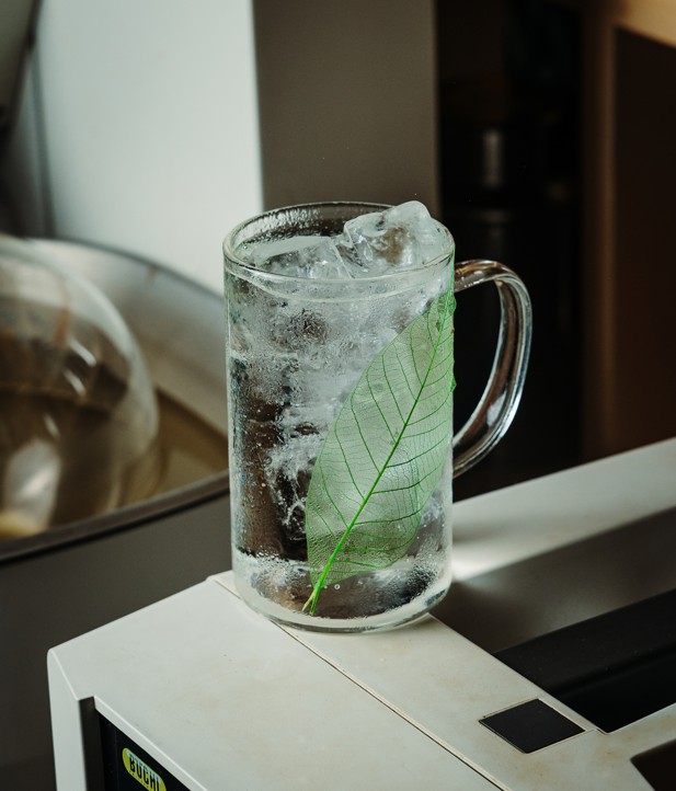 Sencha T-Tonic